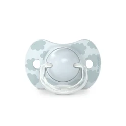 Lot de 2 sucettes SX Pro 0/6m Dreams