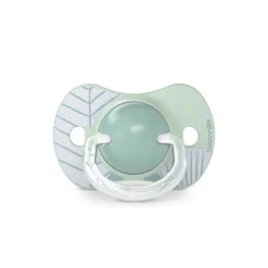 Lot de 2 sucettes SX Pro +18m Dreams