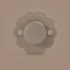 Sucette réversible SX Pro 6/18M Wonder